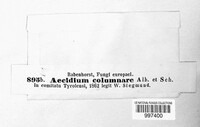 Calyptospora columnaris image